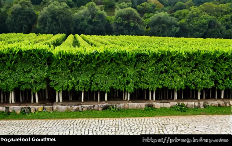 Cerâmica e gastronomia em Portugal: como criar um roteiro cultural com experiências que valem o preço 4 전국의 도자기와 음식 역사 관련 이미지 2